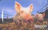 # NEW_ZEALAND NZ44S_2 Farmyard Friends - Pigging Out 5 Gpt 01.98 Tres -animal- Bon Etat - Neuseeland