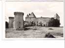 63 CHAPTUZAT * Chateau De La ROCHE-les-AIGUEPERSE * Belle Carte Neuve- Cachet Du Chateau - Aigueperse