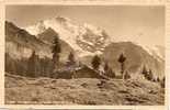 19586. WENGEN .DIE JUNGFRAU . 4167m. - Wengen