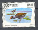 Cape Verde 1981 Mi. 448   10 E Birds Vögel Teichhuhn - Kap Verde