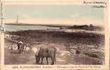 29 PLOUGUERNEAU Pâturage En Vue Du Phare De L'Ile Vierge Vaches En Beau Plan - Plouguerneau