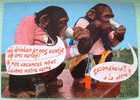 Belgium 1983 Illustrated Postcard, Chimpanzee, Sent To Belgium - Monkeys Joke Funny Card Drink - Storia Postale