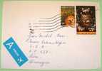 Belgium 2008 Cover Sent To Nicaragua - Tamarin Monkey - Zoo- Painting - Daniel Seghers - Christmas - Storia Postale