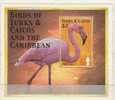 TURKS ET CAIQUES   Oiseaux Des Caraibes  BF 196** - Flamants