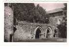 CPA. SAINT LEONARD DE NOBLAT. RUINES DE L'ABBAYE DE L'ARTIGE. DATEE 1947. DENTELLEE. - Saint Leonard De Noblat