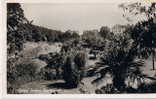 BOURNEMOUTH Central Gardens - Bournemouth (desde 1972)