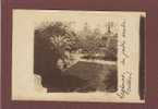 ALGERIE - LAGHOUAT - SUPERBE CARTE PHOTO - UN JARDIN ARABE CULTIVE - CLICHE 1900 - BEAU PLAN - Laghouat