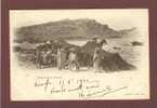 ALGERIE - OUARGLA - CAMPEMENT DE NOMADES - CLICHE 1900 - BEAU PLAN ANIME - Ouargla