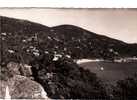 CPSM 83.   LE RAYOL.    VUE GENERALE. - Rayol-Canadel-sur-Mer