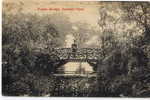 Dulwich Park  Rustic Bridge - London Suburbs