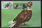 Bird Pigeon 1981 Rare Maximum Card Romania. - Duiven En Duifachtigen