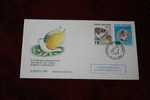REPUBLIC OF CYPRUS CHYPRE  KIBIRIS MARCOPHILIE LETTRE EUROPA 1995 OFFICIAL FIRST DAY COVER FDC 1ER JOUR D' EMISSION TIMH - Otros & Sin Clasificación