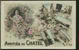 88 CHATEL SUR MOSELLE   /   Carte Souvenir    /   Glacée Couleur - Chatel Sur Moselle