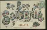 88 CHATEL SUR MOSELLE   /   Carte Souvenir    /  Couleur - Chatel Sur Moselle