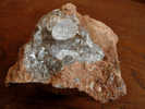 CALCITE (cristal 1,5cm) Sur GANGUE 6 X 6 Cm PAU - Minerales