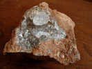 CALCITE (cristal 1,5cm) Sur GANGUE 6 X 6 Cm PAU - Minerals