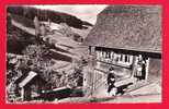 E-Allemagne-331PH30  TRIBERG, Vue Sur Un Chalet, Petite Animation, Type Photo - Triberg