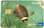 Switzerland Taxcard Beetle Insect Dytiscidae - Altri & Non Classificati