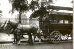 CARTE POSTALE  PARIS 1900 - LA MADELEINE BASTILLE - REPRODUCTION - Taxis & Cabs