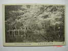 4229 JAPAN JAPON NIPPON YOKOHAMA SANKEIYEN GARDEN 1920  OTHERS IN MY STORE - Yokohama