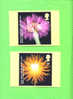 PHQ265 2004 Royal Horticultural Society - Set Of 7 Mint - PHQ Cards