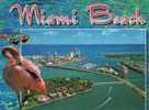 Miami Beach - Miami Beach