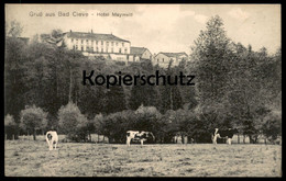 ALTE POSTKARTE GRUSS AUS BAD CLEVE HOTEL MAYWALD KERMISDAHL KÜHE COW Kuh Vache 1916 PRÜF-STEMPEL P.K. ROT Kleve AK Cpa - Kleve