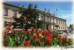 CARPENTRAS HOTEL DIEU - Carpentras