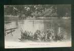 Gabon  - Haut Ogooué - FRANCEVILLE - Pirogues  (  Animée Pirogue Collection S.H.O. - Phot. G.P. 37) - Gabon