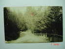 4259 CANADA  VANCOUVER STANLEY PARK   REAL PHOTO YEARS  1910  OTHERS IN MY STORE - Vancouver