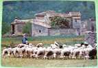 France 1988 Illustrated Postcard Sent To Belgium - Sheeps Rural Farm Building - Brieven En Documenten
