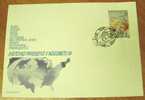 1994 SLOVENIA FDC FIFA WORLD CUP USA SOCCER FOOTBALL FUSSBALL - 1994 – États-Unis