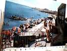 BISCEGLIE CONCHIGLIA ADRIATICA LIDO ANIMATA  SCRITTA GELATI ALEMAGNA  VB1969  CH1628 - Bisceglie