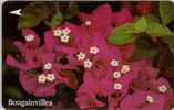 # SINGAPORE 32SIGA Bougainvillea 5 Landis&gyr  -fleurs,flowers- Tres Bon Etat - Singapur