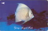 # SINGAPORE 28SIGA Gray Angel Fish 10 Landis&gyr -fish,poisson-  Tres Bon Etat - Singapore