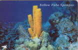 # SINGAPORE 26SIGB Yellow Tube Sponges 10 Landis&gyr  Tres Bon Etat - Singapour