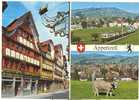 APPENZELL  TRAIN KUHE  VACHES - Appenzell