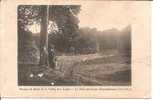 CHATENAY MALABRY ..MAISON DE SANTE DE LA VALLEE AUX LOUPS .. LE PARC PLANTE PAR CHATEAUBRIAND - Chatenay Malabry