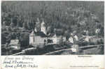 TRIBERG GERMANY Grus Aus Triberg WALLFAHRTSKIRCHE Surrounds 1903 - Triberg