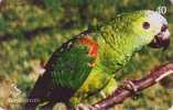 Télécarte Brésil Oiseau PERROQUET - PARROT Bird Phonecard - PAPAGEI Vogel - PAPAGAIO - 76 - Loros