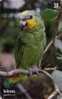 Télécarte Brésil Oiseau PERROQUET Bayadère - PARROT Bird Phonecard - PAPAGEI Vogel - PAPAGAIO - 87 - Loros