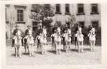 7 Chevaux Montes  - Spanische Reitschule Wien    (7607) - Ippica