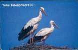 # SWEDEN 60111-174 Stork 30 Orga 04.97 -oiseaux,birds- Tres Bon Etat - Suecia