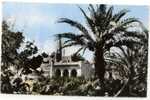 ALGERIE, COLOMB-BECHAR (Saoura) Un Coin Du Jardin Public, Minaret, Palmiers - Bechar (Colomb Béchar)