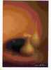 DAVID HAMILTON - Natures Mortes N ° 0601 161 ED AGEP FORMAT19CMX13.5 - Objets