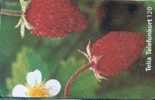 # SWEDEN 60114-35 Strawberry 120 So3 06.97 -fleurs,flowers,fruit-  Tres Bon Etat - Suecia