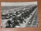 VIAREGGIO 1957 VIALI LUNGOMARE BN VG MOVIMENTATA - Viareggio