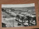 VIAREGGIO 1953 VIALI E SPIAGGIA MOVIMENTATA  BN VG - Viareggio