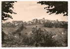 Oloron-Sainte-Marie (64) : Vue Générale En 1950. - Oloron Sainte Marie