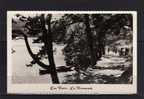 63 BESSE (environs) Lac Pavin, Promenade, Ed Elcé, CPSM 9x14, 195? - Besse Et Saint Anastaise